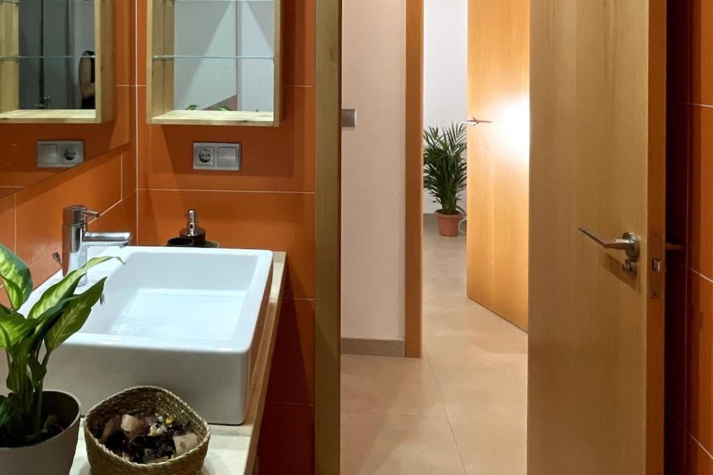 Taima Flats 4 Διαμέρισμα Αλικάντε Εξωτερικό φωτογραφία